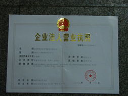企业护航 从注册到审计的全方位工商财务指南