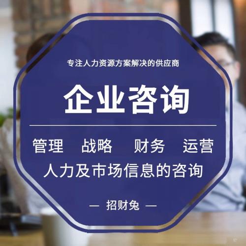 企业管理咨询财务人力市场信息咨询顾问服务